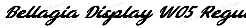 Bellagia Display W05 Regular字体转换
